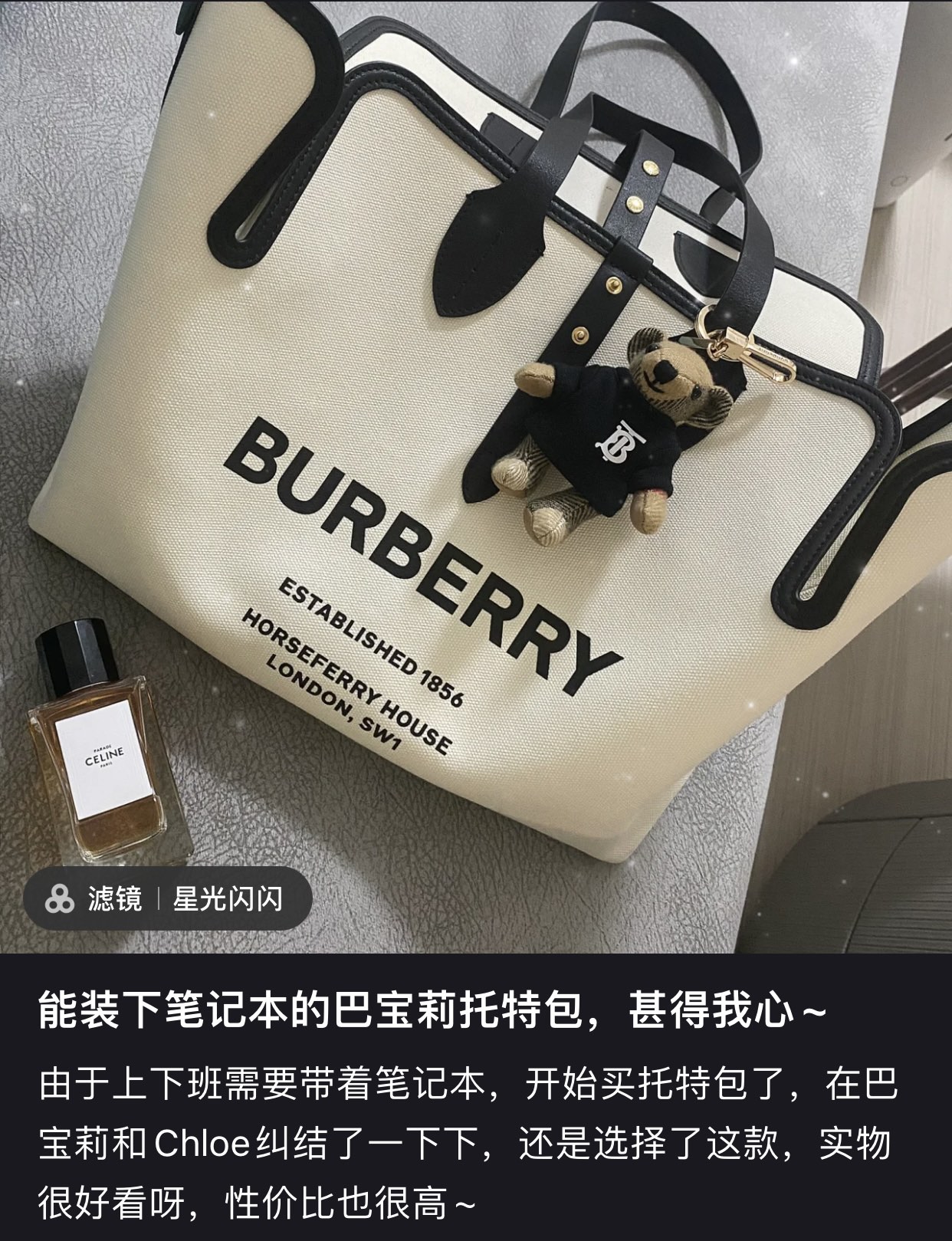 Burberry Shopping Bags